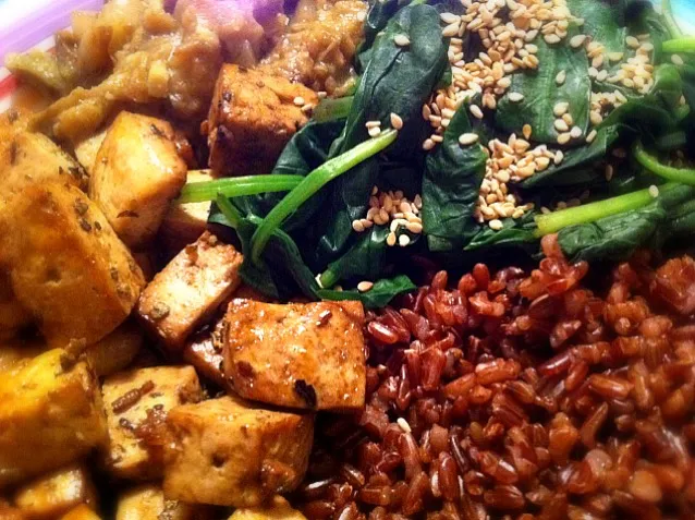 fried sage tofu, red rice, spinach, thai aubergines|Gabiさん