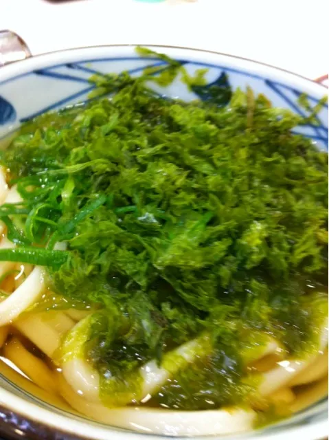 海苔かけうどんで。アオサの風味には負けるが美味しい。|yxxtsさん