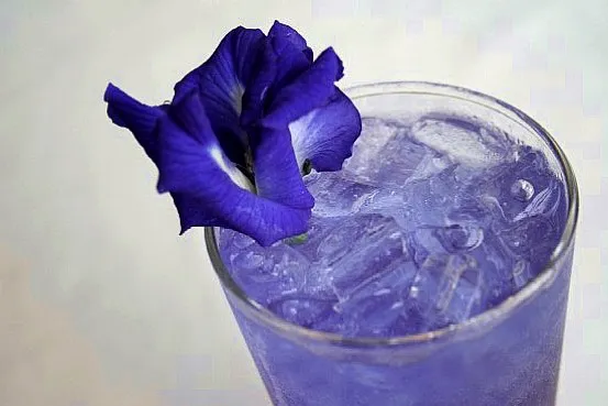 Butterfly Pea with Lemon|Zenithさん