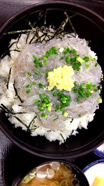 Snapdishの料理写真:生しらす丼 東名富士川SA|Mabo Nagaiさん