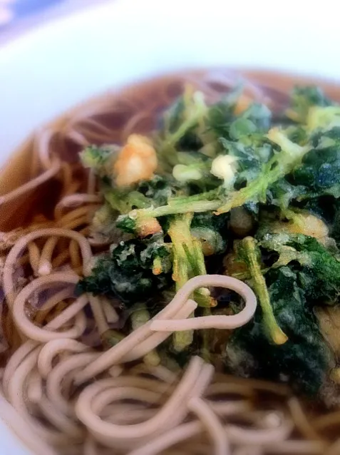 昼食 小柱と三つ葉のかき揚げ蕎麦（温）|よ〜んさん