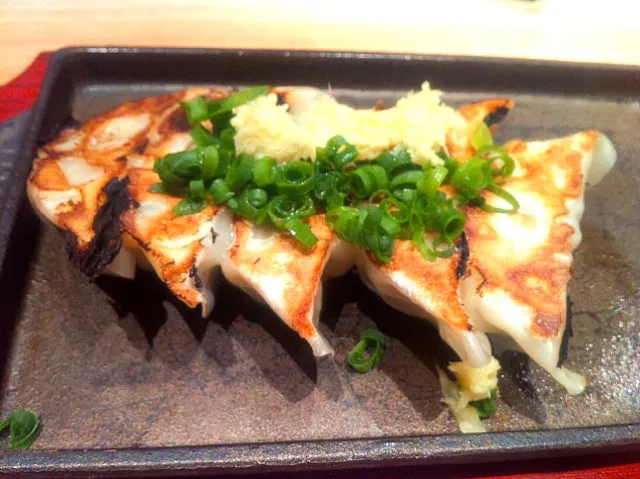 IPPUDO gyoza dumplings|skyblueさん