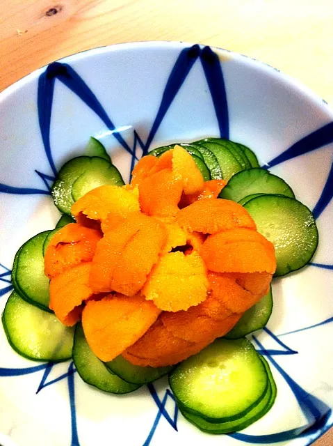 ウニの刺身|Norikoさん