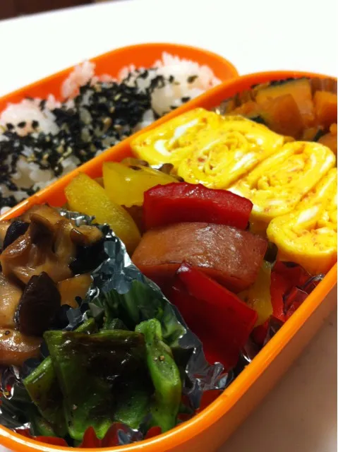 Snapdishの料理写真:本日のお弁当。時間があったのでフタをする前に撮ってみました。|まりもさん