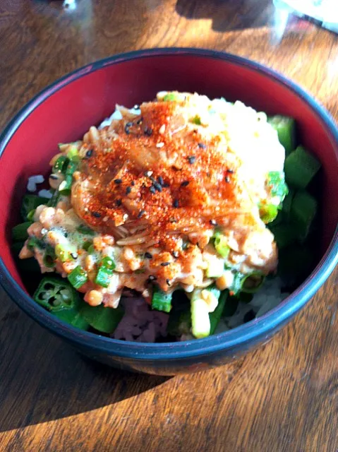 Snapdishの料理写真:納豆おくらネバネバ丼|manamixさん