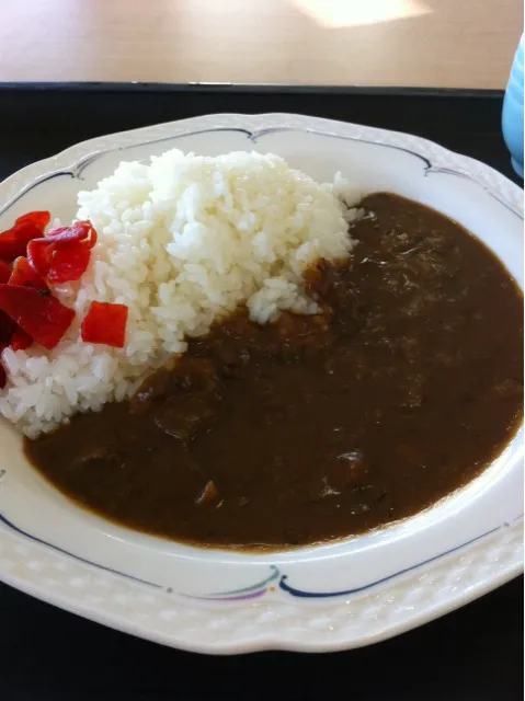 カレーライスで。いつもの学食にて。カレーの誘惑に敗退。|yxxtsさん