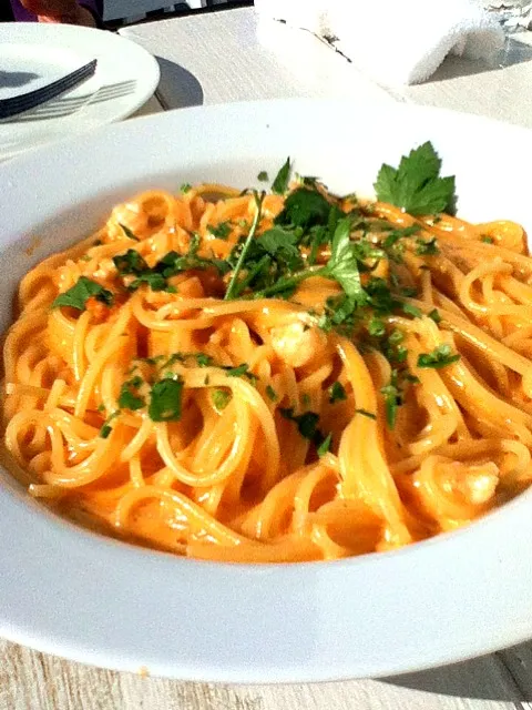 Snapdishの料理写真:tomato cream pasta with shrimp @ Baracca del sole|Kincoさん