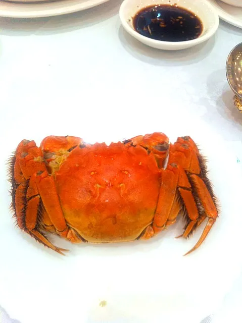 shanfhai crab in 太湖海鮮城 HingKong|yoko umenoさん