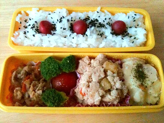 2011.11.24☆お弁当|ゆきさん