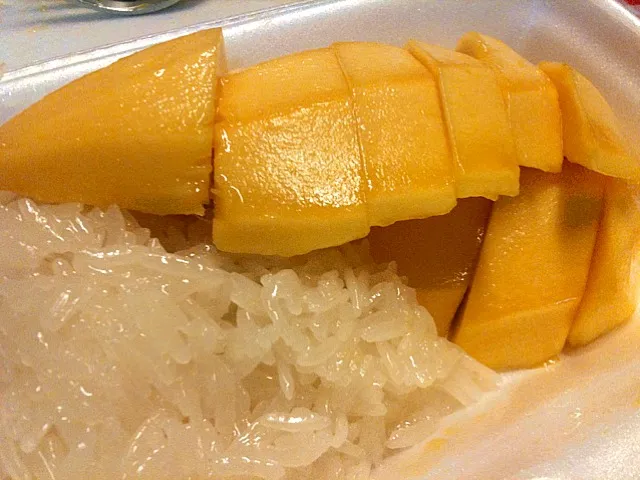 Sticky and Mango // ข้าวเหนียวมะม่วง|sasi-sOmさん