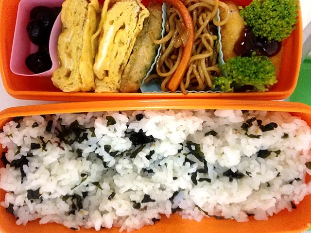 ほぼ日弁当|ayuさん