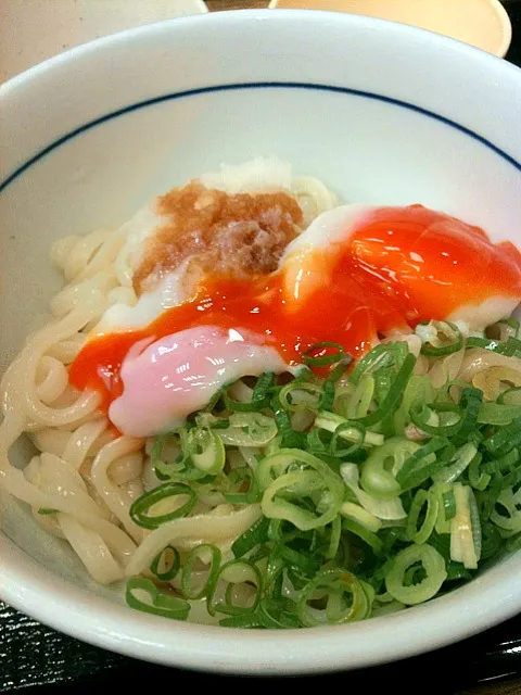 sudachi udon(noodles|sharmellさん