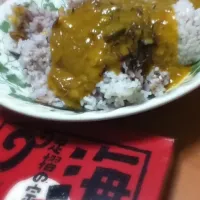 足摺の宗田かつおカレー|shinさん