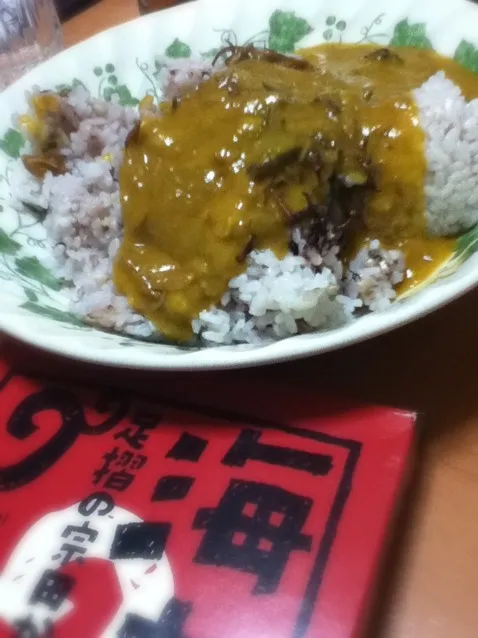 足摺の宗田かつおカレー|shinさん