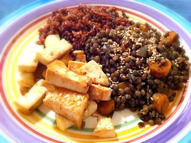 red rice, green lentils with carrots, fried tofu|Gabiさん