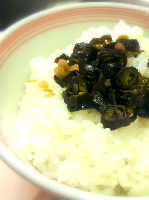 夕飯 ホカホカご飯に葉唐辛子♪|よ〜んさん