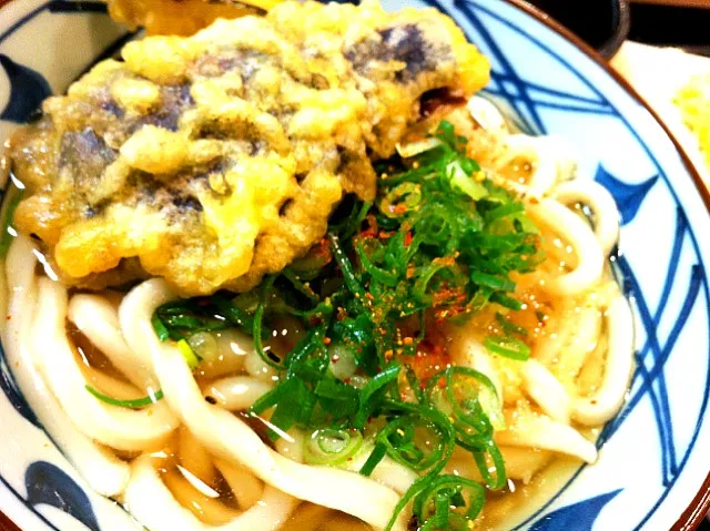 Snapdishの料理写真:うどん|ちびヒョンさん