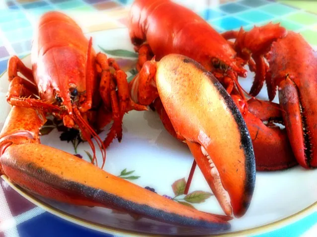 Boiled Lobster|Jeryさん