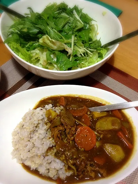 野菜たっぷりカレー、レタス水菜サラダ|りささん