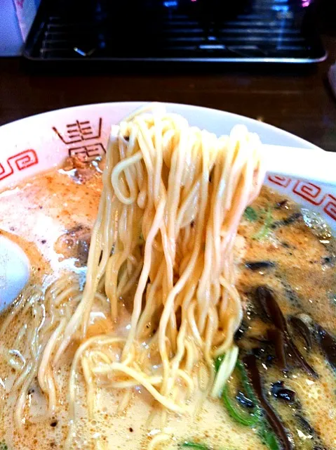 醤油豚骨ラーメン|よつばさん