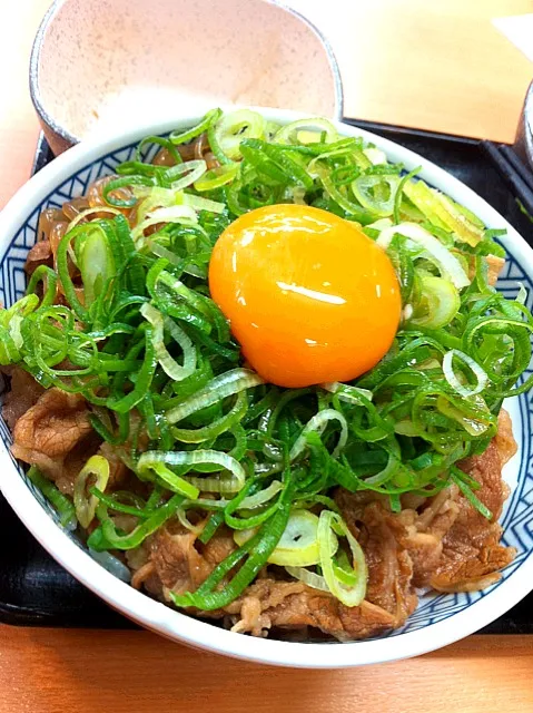 牛丼！|さすらいのみずまんじゅうさん