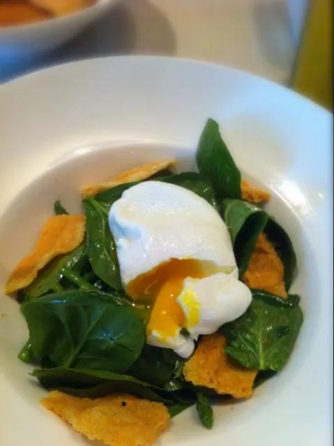 poached egg spinach salad|willzさん