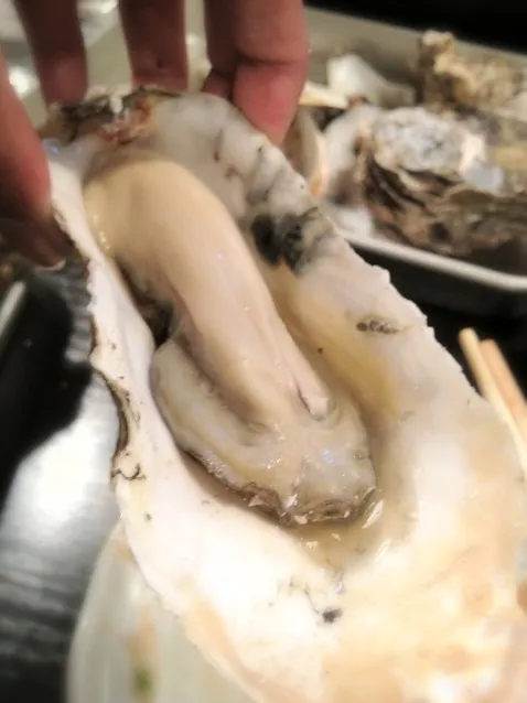 grilled oyster|luvsie juanさん