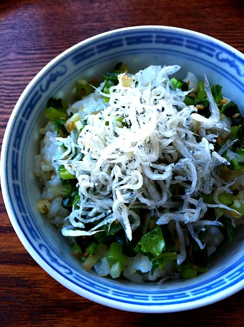 じゃこと大根菜のごはん|まぁこさん