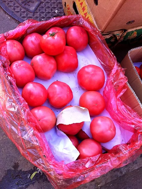 Snapdishの料理写真:giant tomatoes|samさん