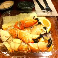 stone crab|yimoさん