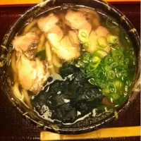 Snapdishの料理写真:夢鶏塩うどん|Eito Nagaiさん