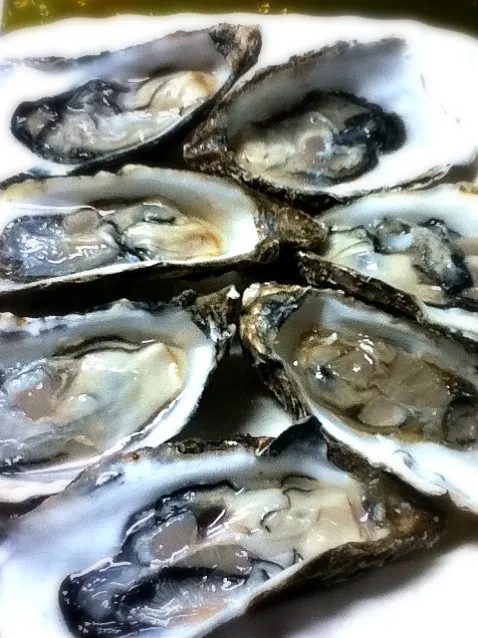 Oyster from Akkeshi in Hokkaido|Kincoさん