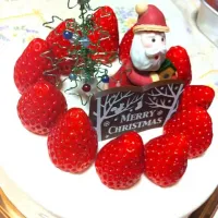 Xmasケーキ|あきんこ。さん