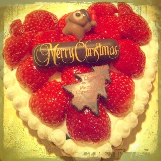 X'mas Tarte|mayさん