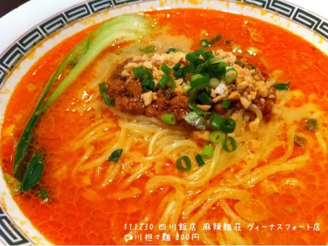 111230 四川飯店 麻辣麺荘 ヴィーナスフォート店  四川担々麺 800円|ogu_oguさん