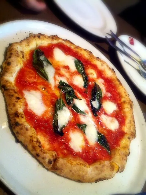 マルゲリータ|yumさん