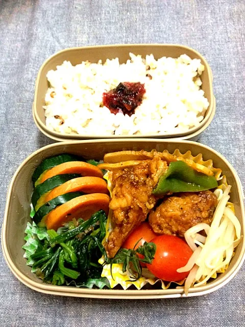 今年最後のお弁当|Mitsukoさん