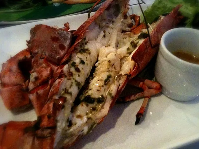 Snapdishの料理写真:Grilled Boston Lobster|Jaraineさん