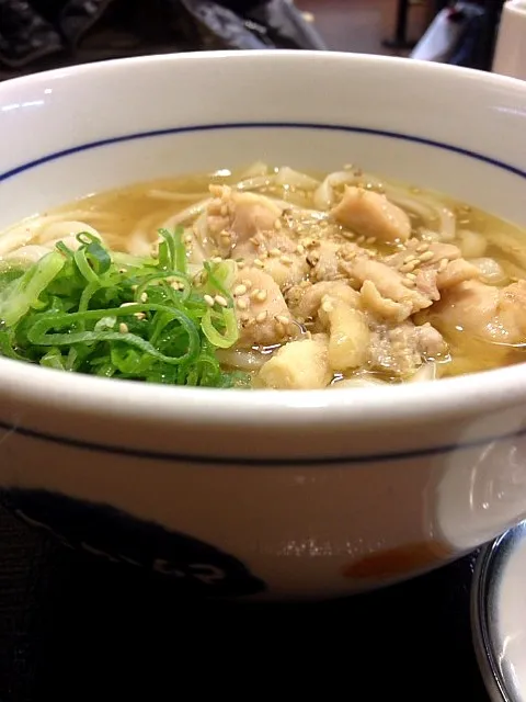 udon|sawaokahirokiさん