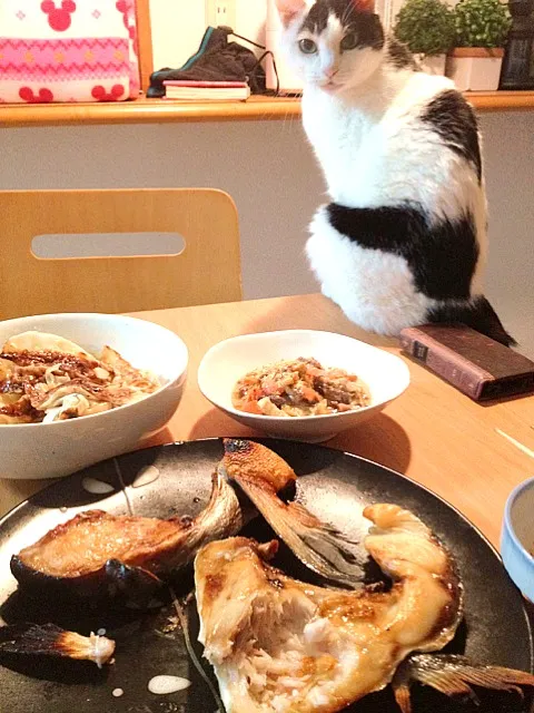 Snapdishの料理写真:魚うまっ。ネコ狙う程うまっ。|tsuyoshiさん