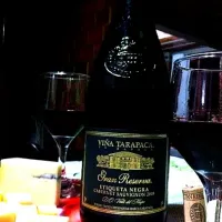 Gran Reserva Viña Tarapacá Cabernet Sauvignon 2008|Harold Kelly Jrさん