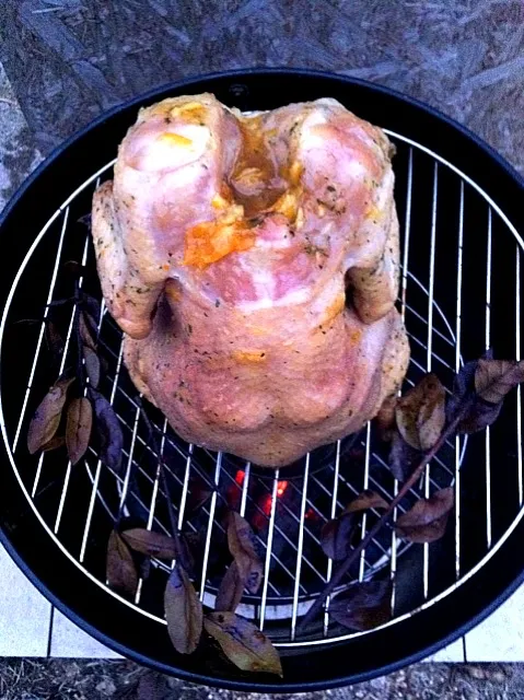 Orange & Garlic glazed full bird in the smoker|CharlesTStewartさん