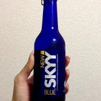 SKYY BLUE|Shizukaさん