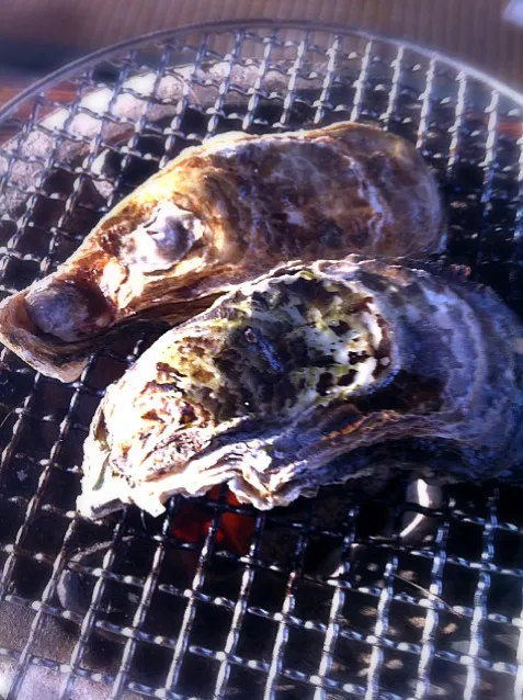 昨日、夕陽を見ながら焼き牡蛎をしたんだ。|Yoshinobu Nakagawaさん