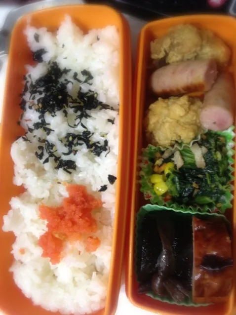 ほぼ日弁当|ayuさん