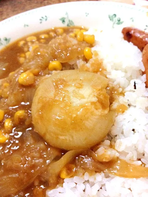 玉ねぎ丸ごとカレー|sanfanさん