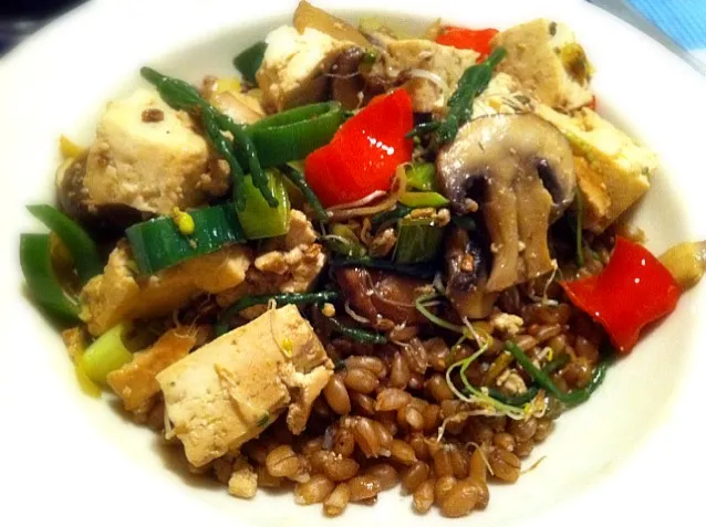 spelt with leek, mushrooms, tofu, peppers, sprouts, and zeekral|Gabiさん