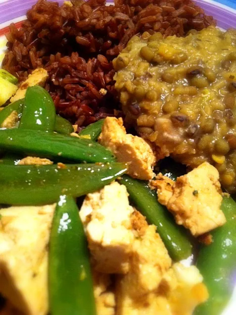 red rice, dhal, tofu, cauliflower, broccoli, and sugar snaps|Gabiさん