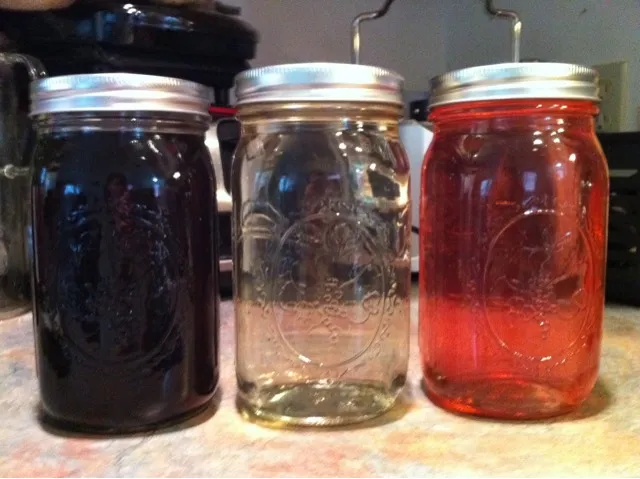 Simple Syrups...Spiced, Mint, Cranberry|http://melissasmenu.wordpress.com/さん