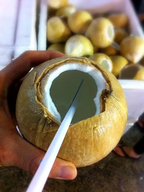 slurp! fresh coconut water|willzさん